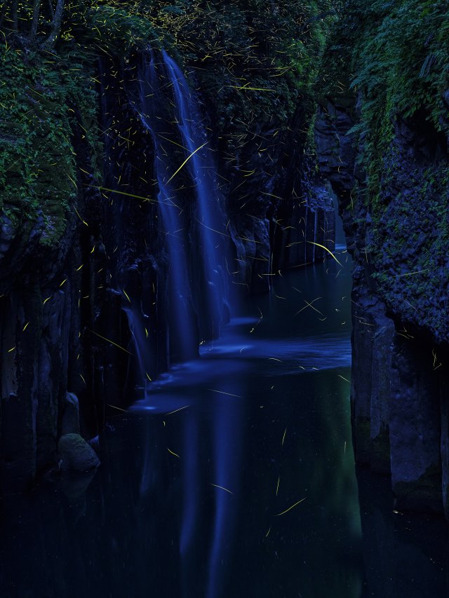 115.05.21高千穂峡のホタルHP用.jpg